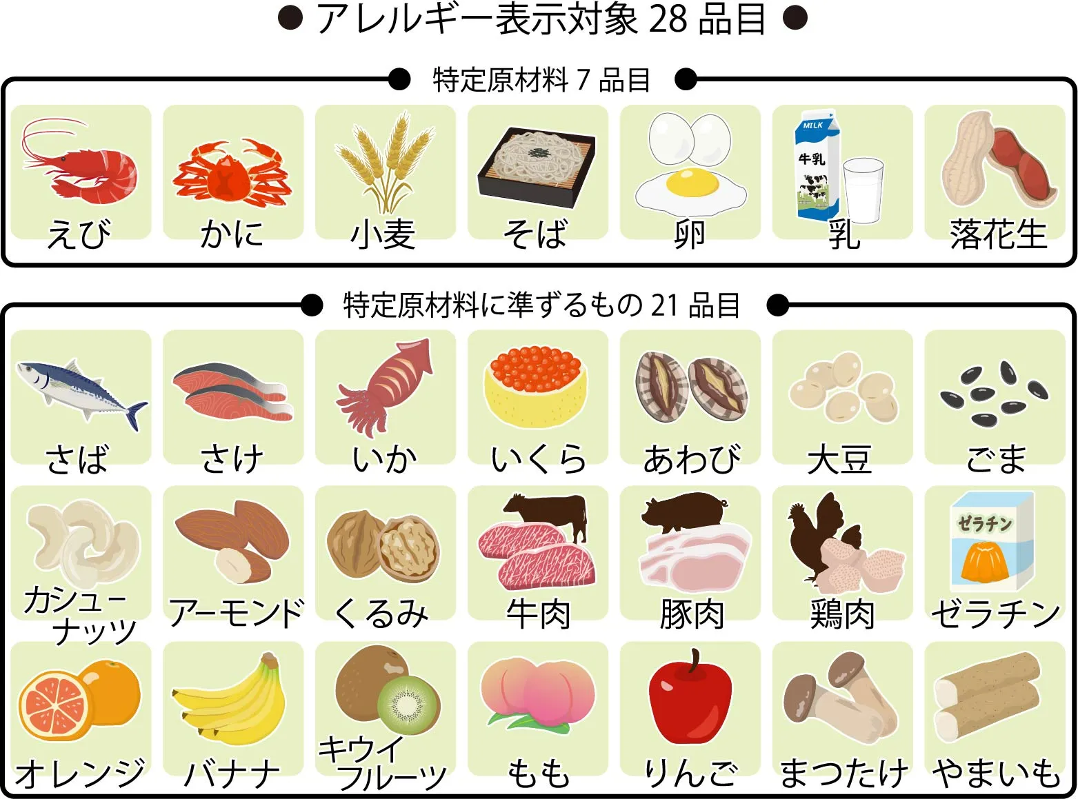 アレルギー