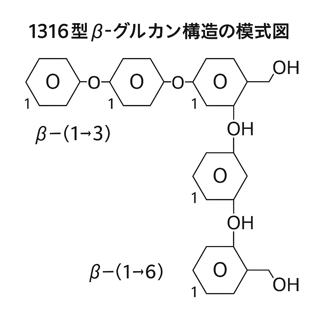 酵母・キノコ由来のβ-(1→3)(1→6)-グルカン構造模式図